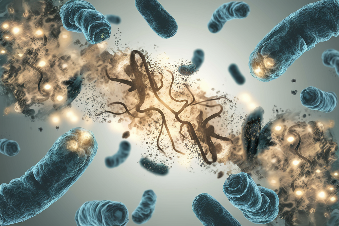 How Ozone Helps Eliminate Bacteria